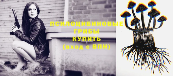 скорость Арсеньев